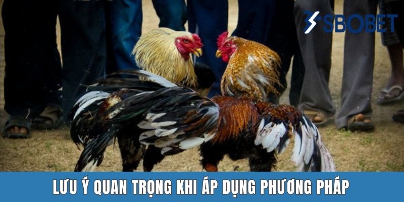 Lưu ý quan trọng khi áp dụng phương pháp