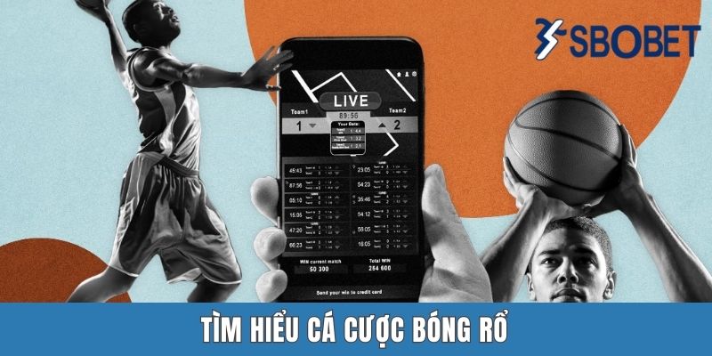 Tìm hiểu cá cược bóng rổ