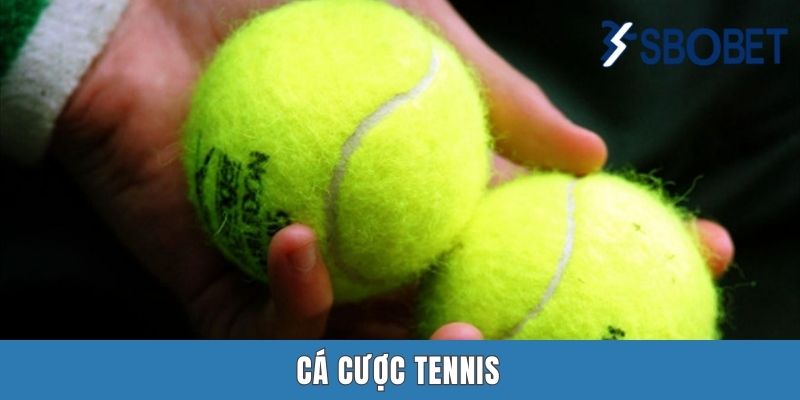 Cá Cược Tennis Sbobet | Bung Xõa Đam Mê Cùng Các Kèo “Banh Nỉ”