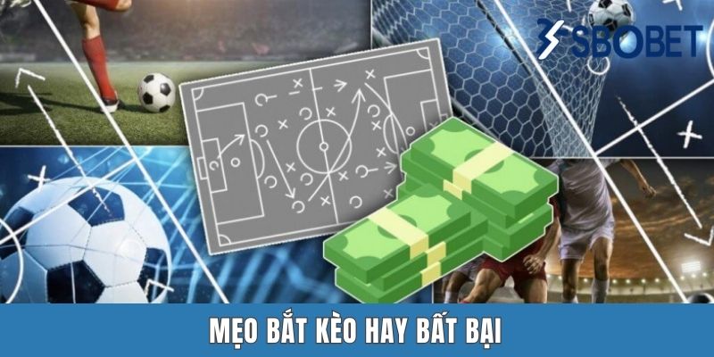 Mẹo bắt kèo hay bất bại