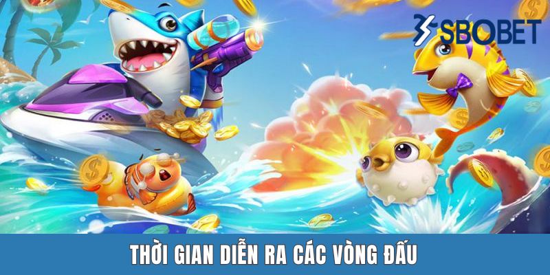 Thời gian diễn ra các vòng đấu