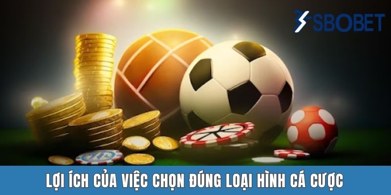 Lợi ích của việc chọn đúng loại hình cá cược