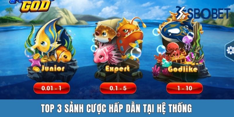 Top 3 sảnh cược hấp dẫn tại hệ thống